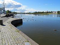IMG 8139