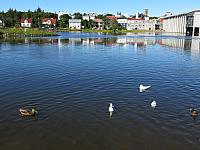 IMG 8141