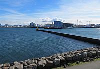 IMG 8185