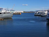 IMG 8196