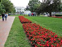 IMG 0181