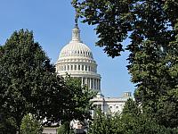 IMG 0233