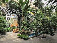 IMG 0257