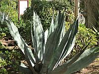 IMG 0354
