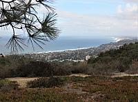 IMG 0373
