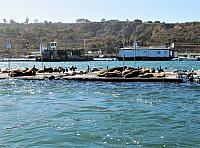 IMG 0465