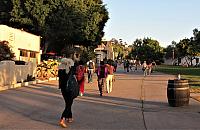 IMG 0517