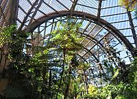 IMG 0577