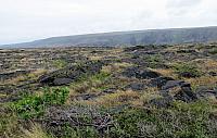 IMG 1175