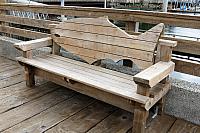 IMG 1673