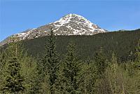 IMG 1951