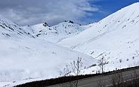 IMG 2239