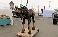 IMG 2255