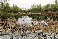 IMG 2267