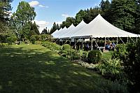 IMG 2426