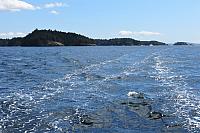 IMG 2677