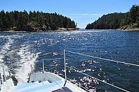 IMG 2767