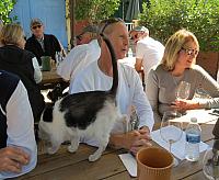 IMG 2956