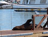 IMG 3003