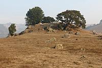 IMG 3189