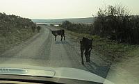 IMG 3257