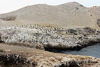 IMG 3420