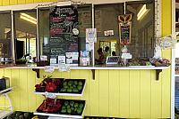 IMG 3580