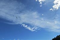 IMG 3775