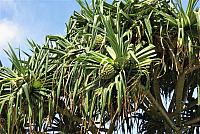 IMG 3787