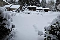 201902 - February 2019