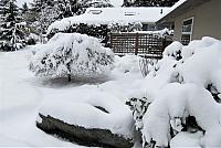 IMG 3880