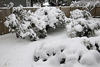IMG 3887