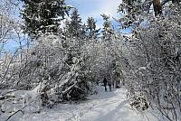 IMG 3912