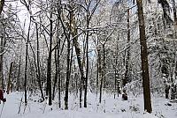IMG 3914