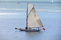 IMG 4224