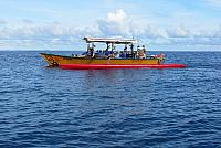 IMG 4466