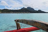 IMG 4497