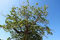 IMG 4767