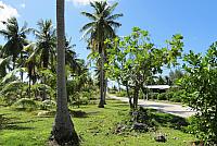 IMG 4807