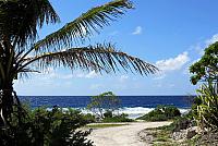 IMG 4809