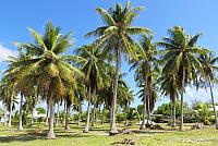 IMG 4829