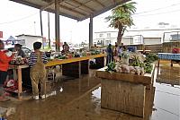 IMG 4358