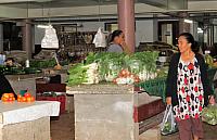 IMG 4293