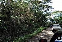 IMG 4920