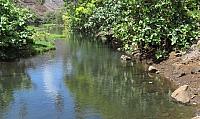 IMG 4967