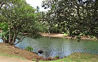 IMG 4968