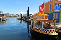 IMG 5162