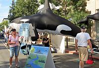 IMG 5198