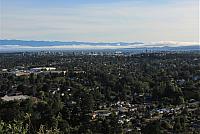 IMG 5205