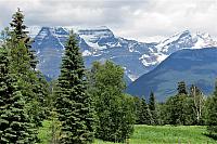 IMG 5251
